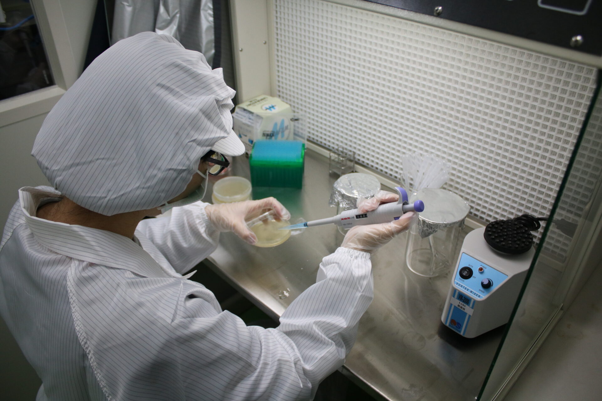 微生物檢驗 微生物檢驗(Microbiology test)